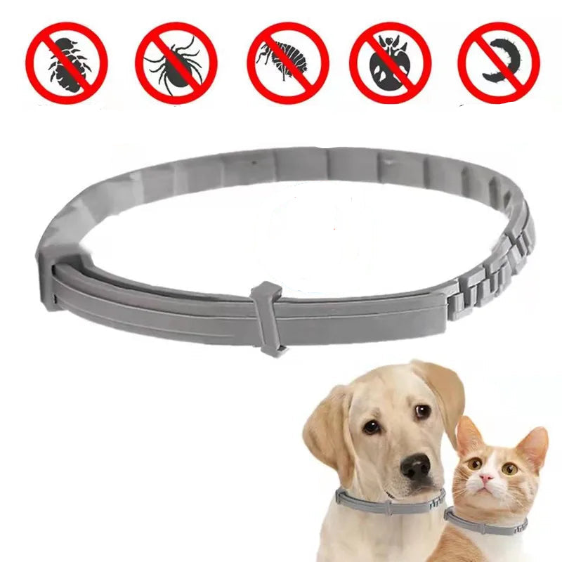 קולר נגד פרעושים ופשפשים