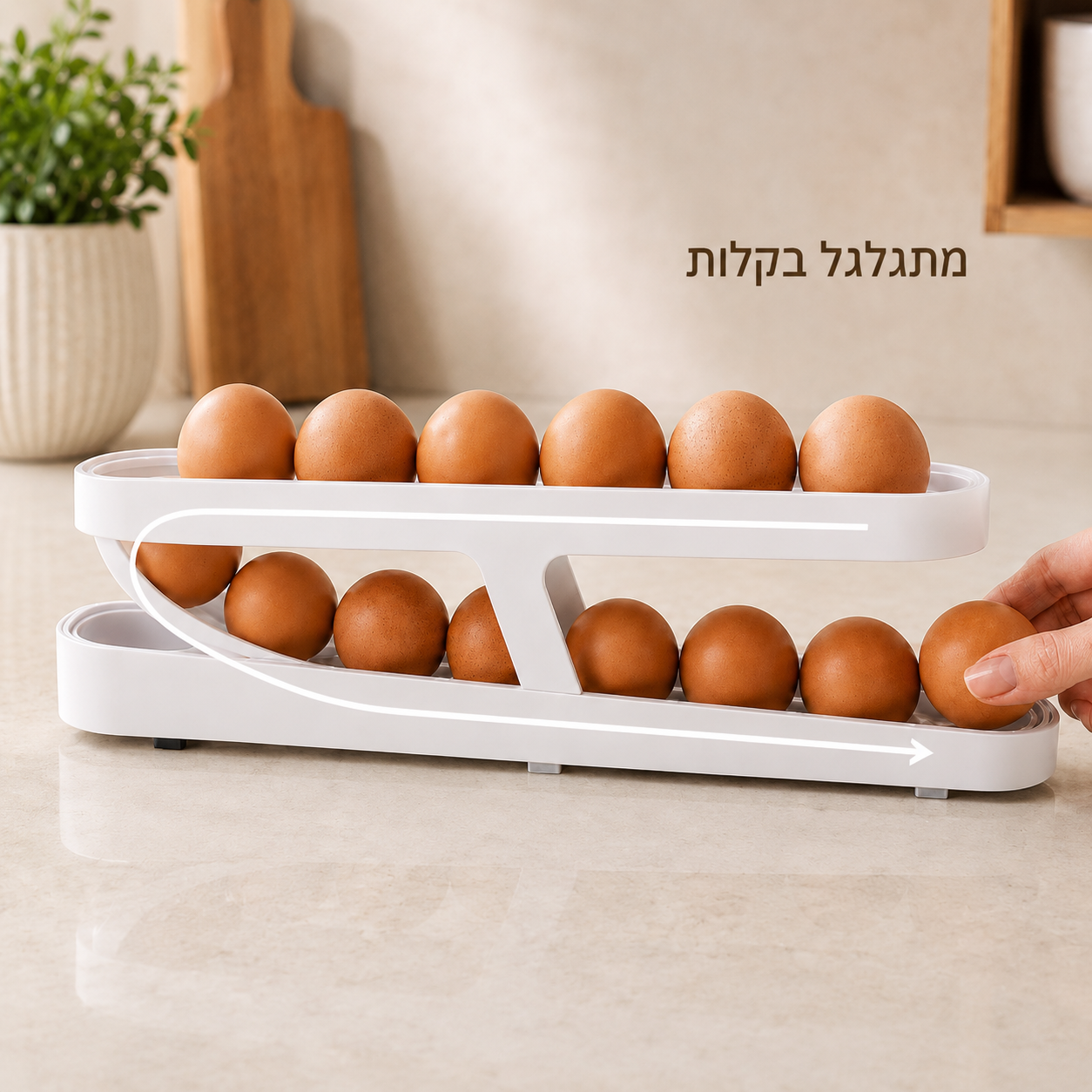 מעמד ביצים דו-קומתי חסכוני במקום